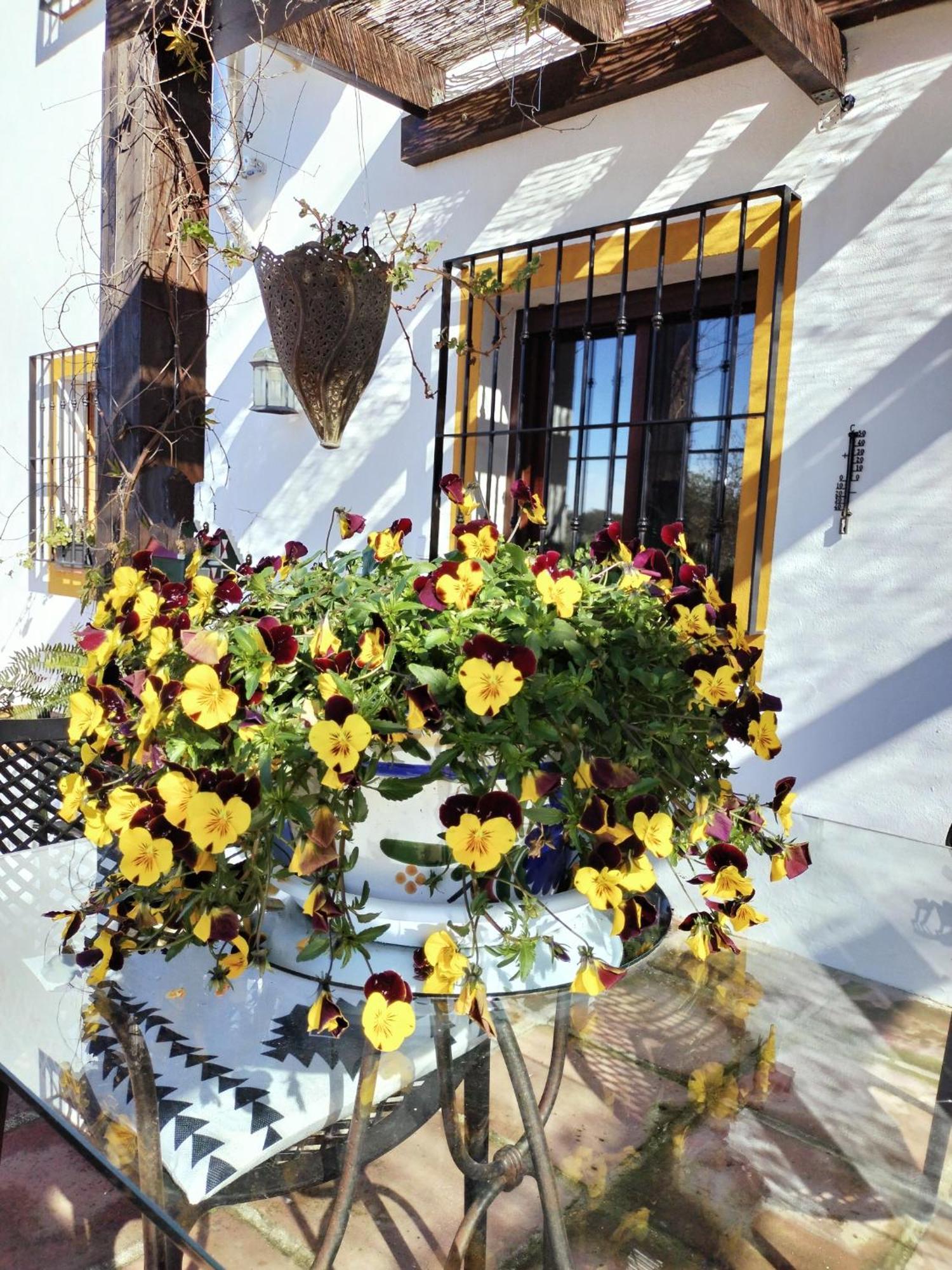 Todos Y Tonya Bed & Breakfast Archidona Exterior foto