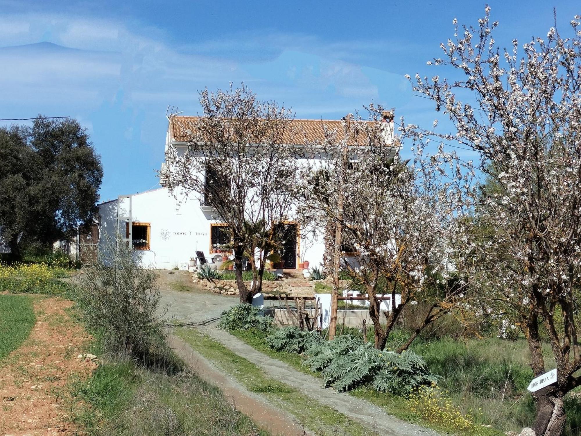 Todos Y Tonya Bed & Breakfast Archidona Exterior foto